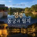 아름다운상상 | 경주 동궁과 월지 낮과 밤 모두 아름다운 야경 명소 방문 후기