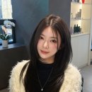 컬러무이 이미지