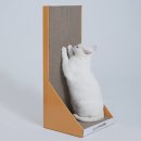 멍냥이노리터 이미지