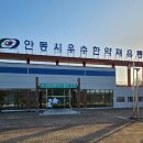 한국인삼유통센터