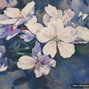 마음에 스며드는 수채화 이미지