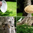 디자인 유에프오 이미지