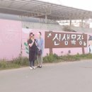 신샘목장 네이버블로그
