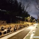 개나리공원 농구장 이미지