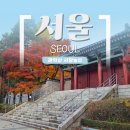 봉천동 마애미륵불 좌상 | 관악산 등산 / 가을의 관악산 사당 능선 단풍 산행 후기 (2025년 11월 16일)