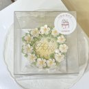 니모네케이크