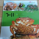 그린비앤씨