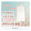 &#34;와, 르노가 이런 디자인을?&#34; 신형 아르카나, 에스프리 알핀 무조건 계약!