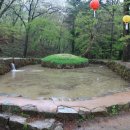 순천-46호 이미지