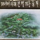 남산 홍주사 이미지