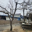 덕산리새마을