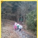 서광유치원 이미지