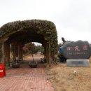 2025 섬 홍매화축제 이미지