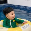 영흥북로 | 인천근교키즈펜션 영흥도 대부도풀빌라 독채 펜션 키즈비 추천 후기