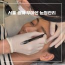 우아선 네이버블로그