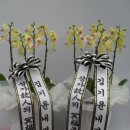 김기윤내과의원 이미지