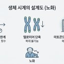 인간 수명 150세 시대의 비밀: 노화를 극복하는 생명공학 이미지