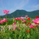 물금취수장 이미지