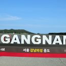 강남보물섬 이미지