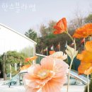 한스블라썸 네이버블로그