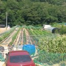 풍년농장 이미지