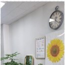 금강부동산공인중개사사무소 이미지