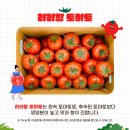 생생팜