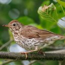 명진동물병원 이미지