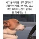 스카이노래방 | 서울 가볼만한곳 추천 양재 양인환대 을지로 숙성도 63스카이피크닉 후기