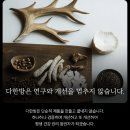 다한 | 다한방 다이어트 후기(부작용·가격 총정리)
