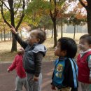 시낭공원 이미지