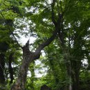 탐라신화공원 이미지