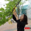 평사(부산) 이미지