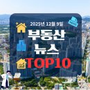 11월 이슈N트랜드_환경, 미래 | 2025년 12월 9일 부동산 뉴스 TOP 10 : 경제 흐름을 읽는 투자 인사이트