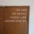 (주)강원도민일보 | 2️⃣ 동에 번쩍 서에 번쩍 모길동의 나홀로 강원도 한 달 살이 후기 #2 속초 여행 편