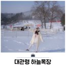 평창군립대관령도서관 | 강원도 평창 겨울 가볼만한곳 대관령 하늘목장 양떼목장 후기
