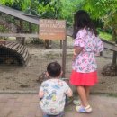 섬띠농장 이미지