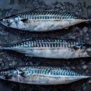 (주)디지털실크로드 이미지