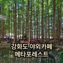 강화 카페 추천 | 메타포레스트 카페 솔직 후기