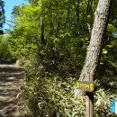 한라산둘레길 천아숲길 이미지