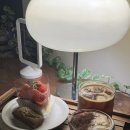 수우정보 이미지