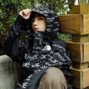 빅피처웍스 | [SOLD OUT] SUPREME X THE NORTH FACE Steep Tech Apogee Jacket / 슈프림 X 노스페이스 스팁 테크...