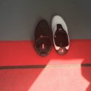 새샘태권도장 이미지