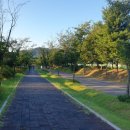 신대생태회랑 이미지