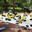 청태산그린 이미지