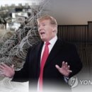 회동상사 이미지