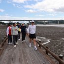 벌교갯벌식당 이미지