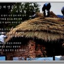 농부네 텃밭 이미지