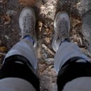 메디파워약국 이미지