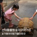 금적가든 | 가평신비동물원 아이와 함께한 가평실내동물원 가평아쿠아가든 나들이 후기